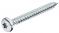 Stahl Hospa-Schrauben Panhead IS verz.4,0x20mm