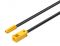 1 x Stecker, Loox5 2-pol. 12 V Loox5 Verlaeng.Leit 12V/0,5m