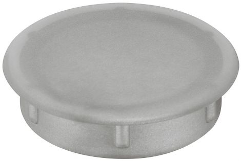 26 mm Abdeckkappe Kst.silber 30x 6,5mm