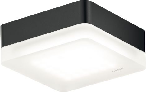 schwarz Cubic 36 Connect ON-X schwarz mit Konv.
